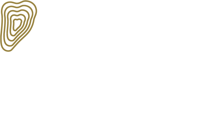 New Dammam